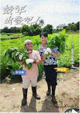 奔跑吧第12季在线观看